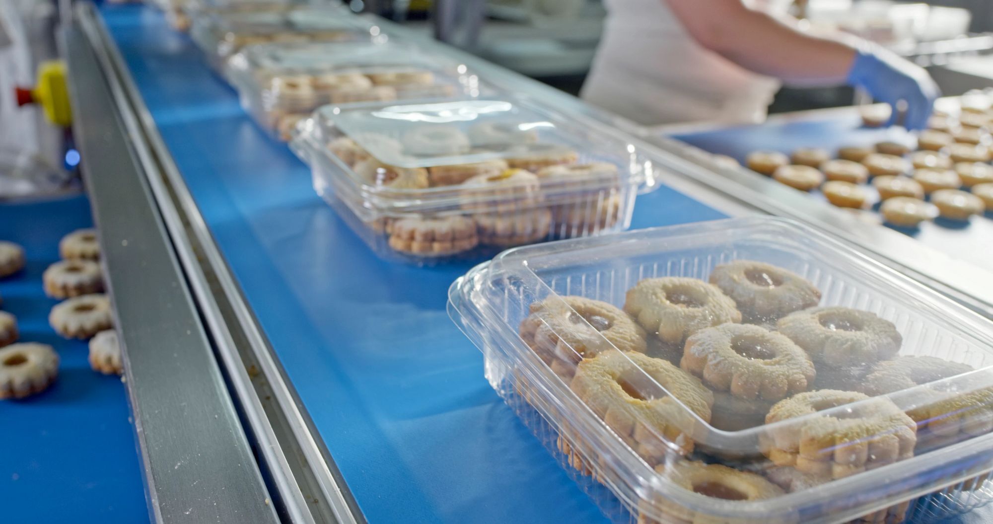 Close-up view of transparent plastic containers filled with cookies moving along a blue conveyor belt in a production line.