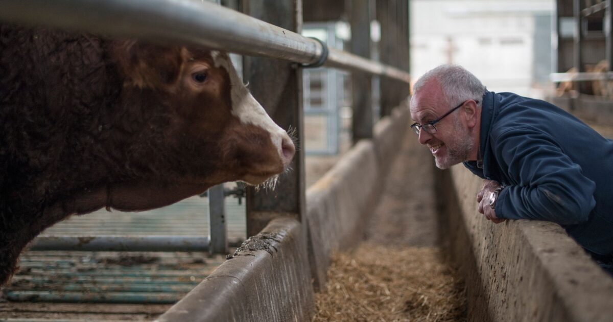 American Meat and Egg Distributors Now CaliforniaReady with… NSF