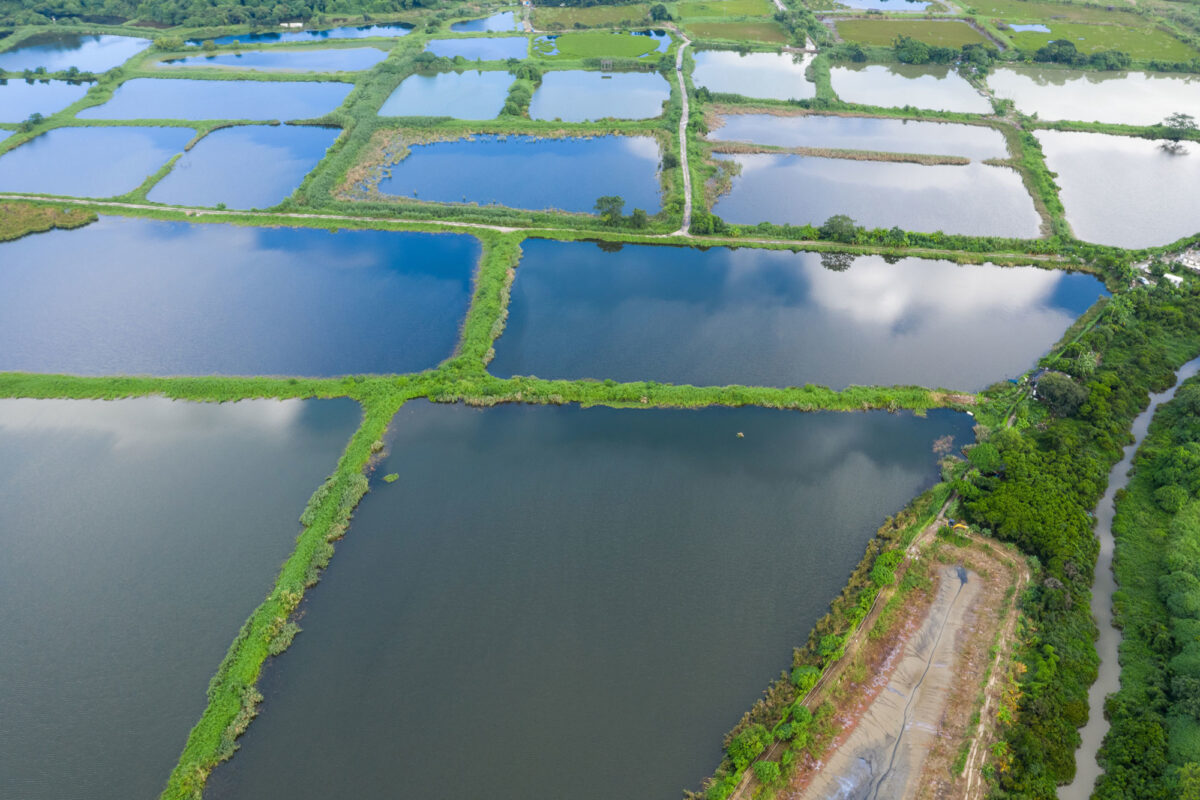 Best Aquaculture Practices (BAP) Certification NSF Best Aquaculture Practices (BAP) Certification NSF