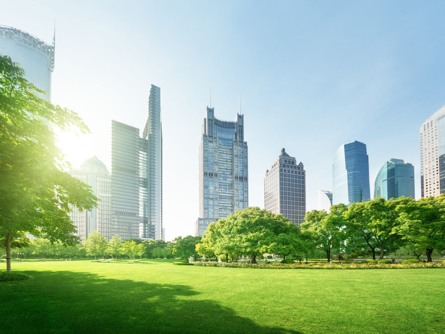A park with the city skyline - Sustainability Strategy Development | NSF