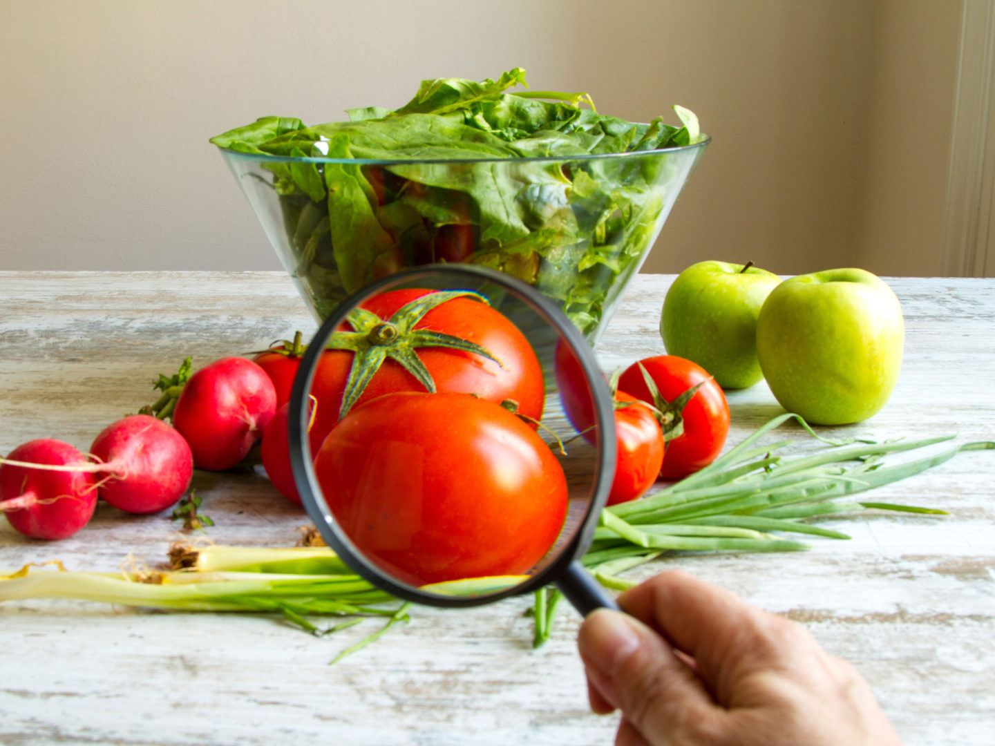 Analyzing a tomato with a magnifying glass