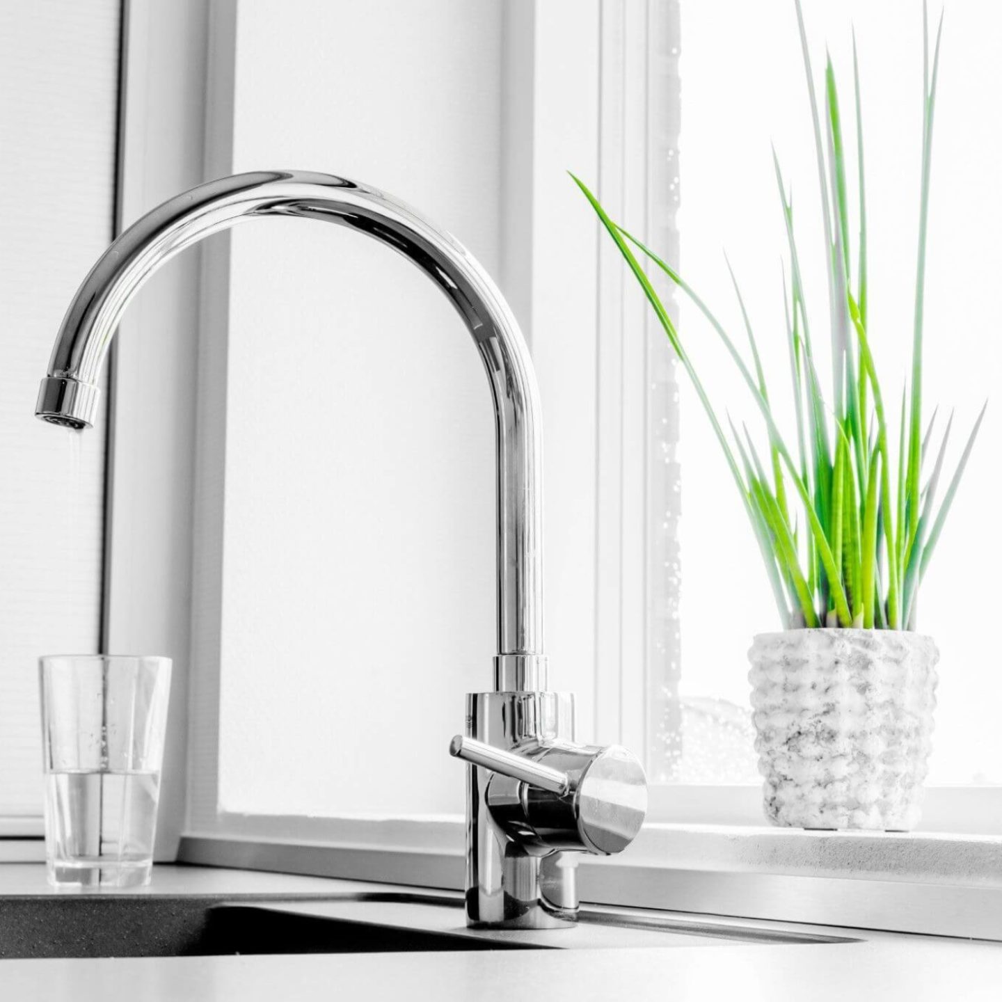 Kitchen faucet water cup and plant