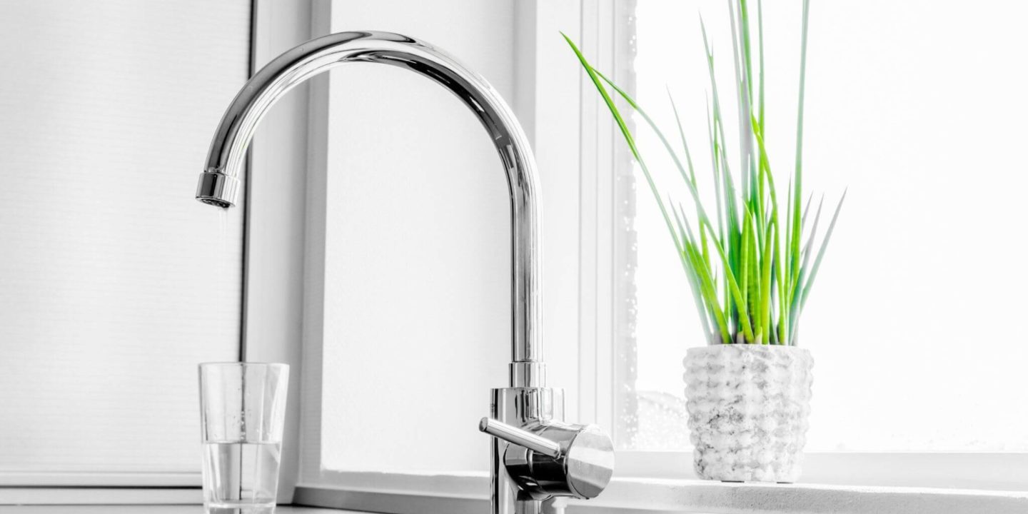 Kitchen faucet water cup and plant