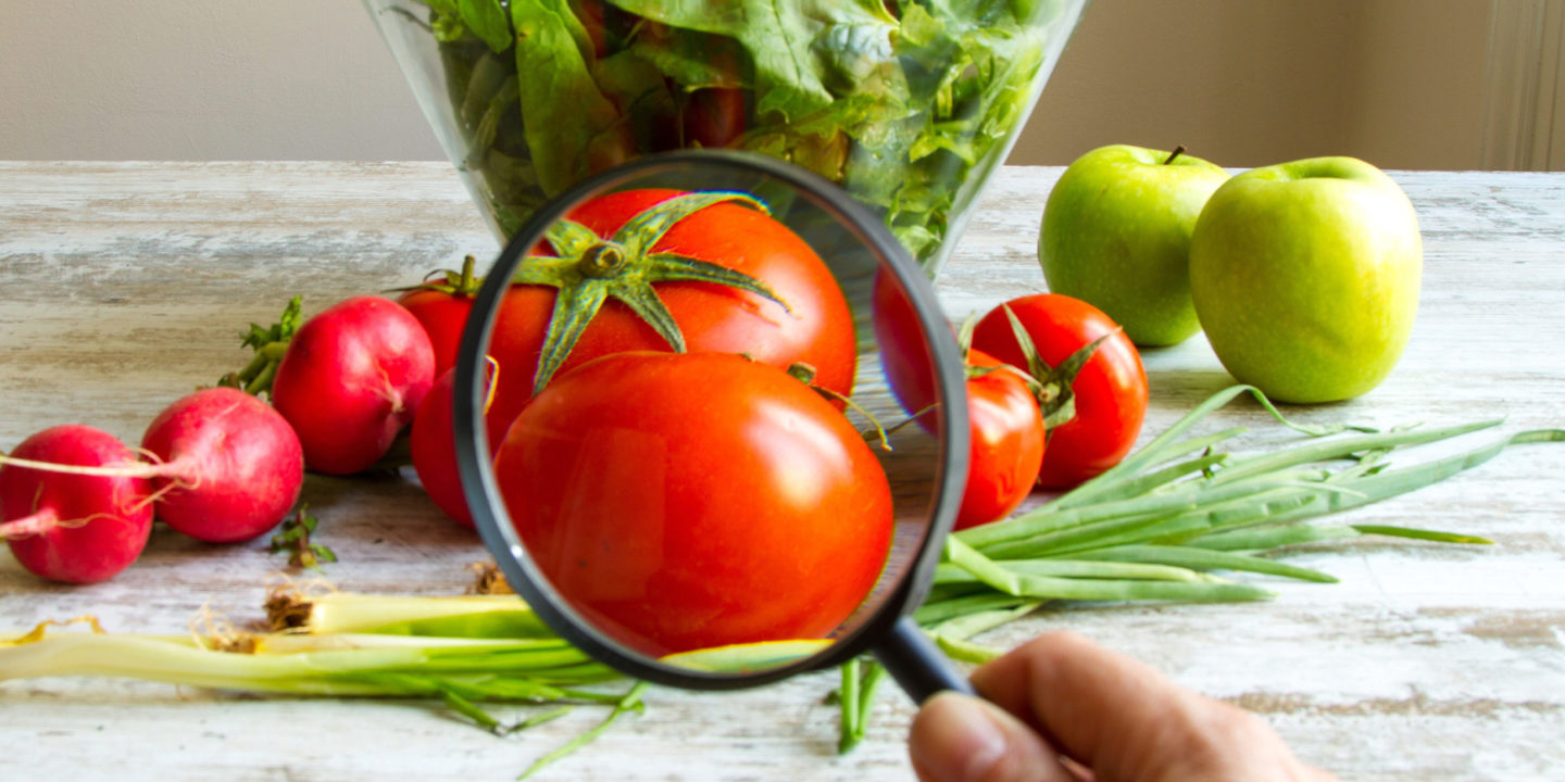 Analyzing a tomato with a magnifying glass