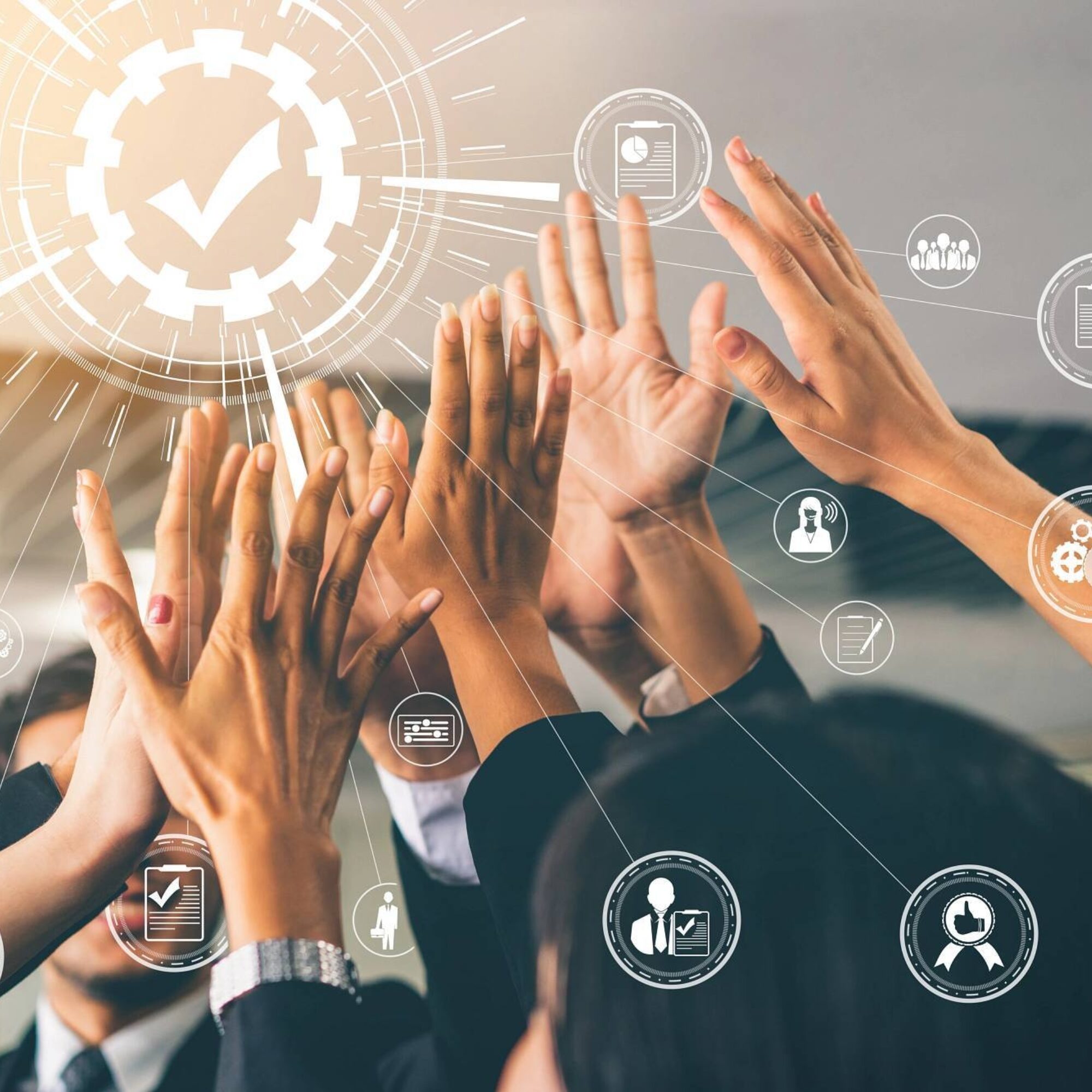 Quality Management Systems Certification | NSF