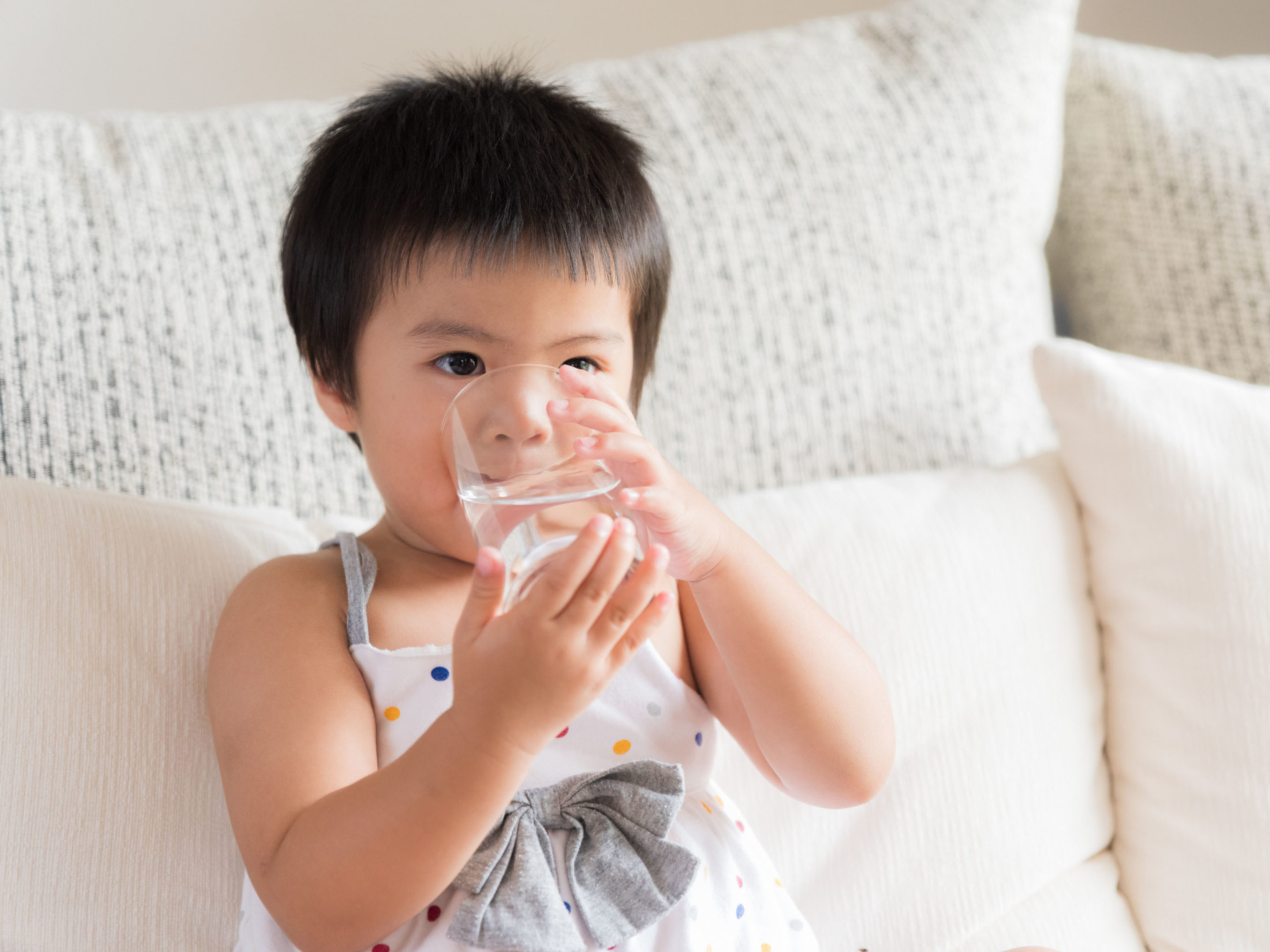 Water Safety, Water Purification and Bottled Water NSF