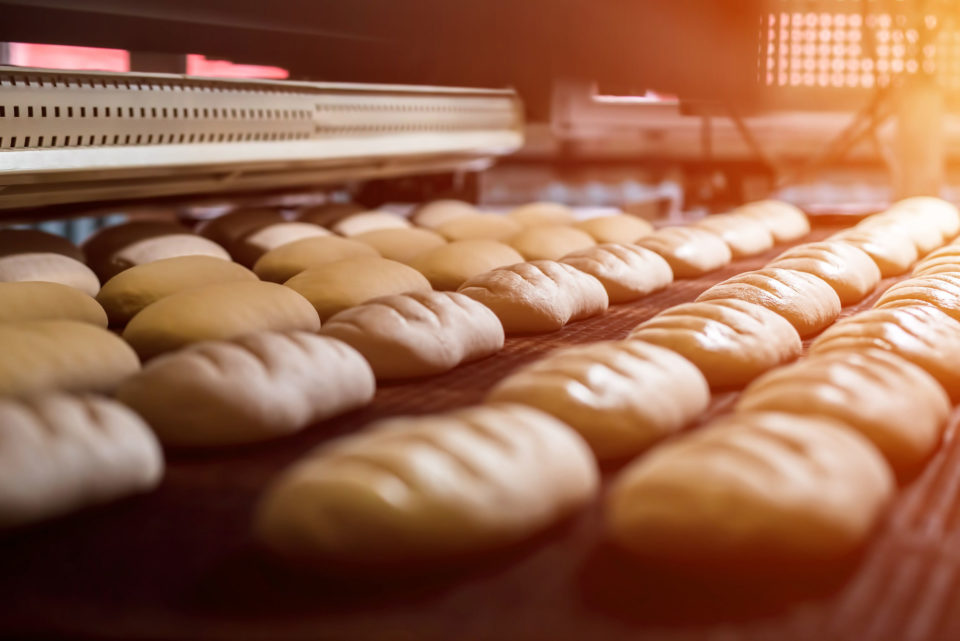 Bread on a conveyor belt in a factory