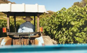 Man tractor crops 45594988