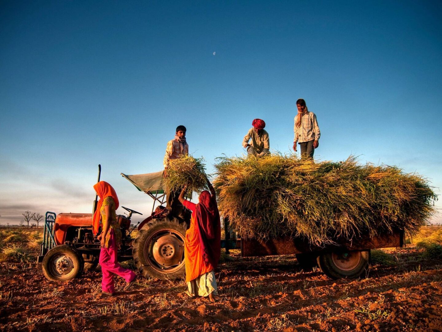Farmers tractor 90026318