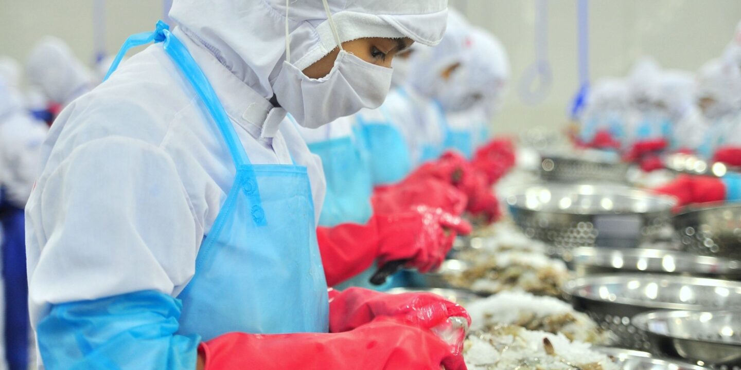 Shrimp preparation 41420658