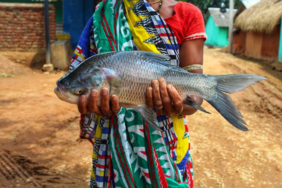 Fish woman 175084615