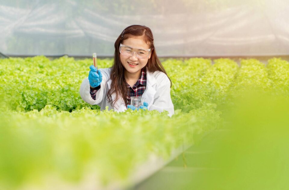 Scientist lettuce 138879321