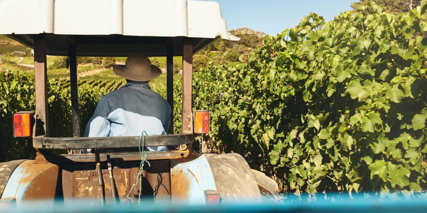 Tractor finca 45594988