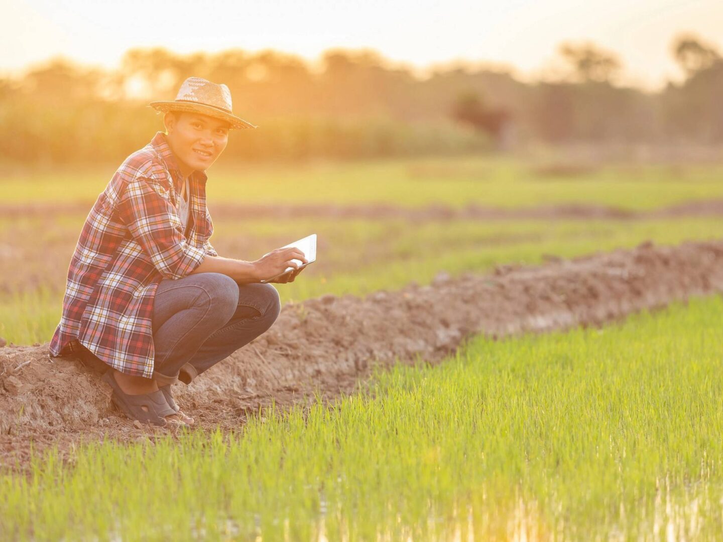 Young farmer field 129069525