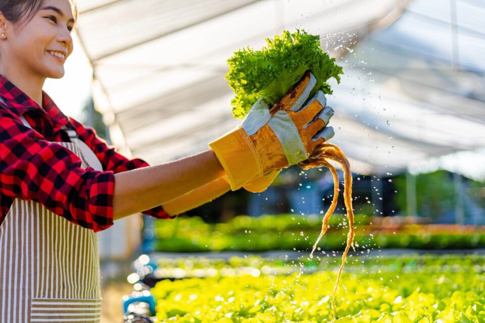 Farmer gloves produce 163044889