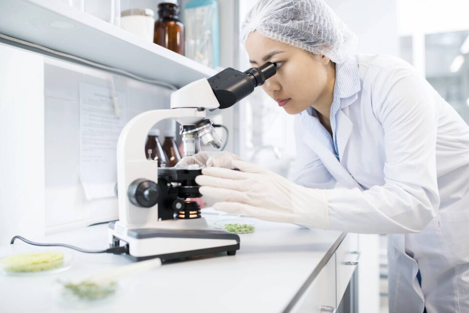 Microscope lab 105094847