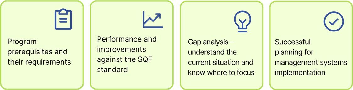 Sqf10 graphic