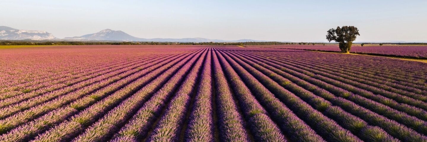 NSF/ANSI 51, Food Equipment Materials Update and Implications… | NSF