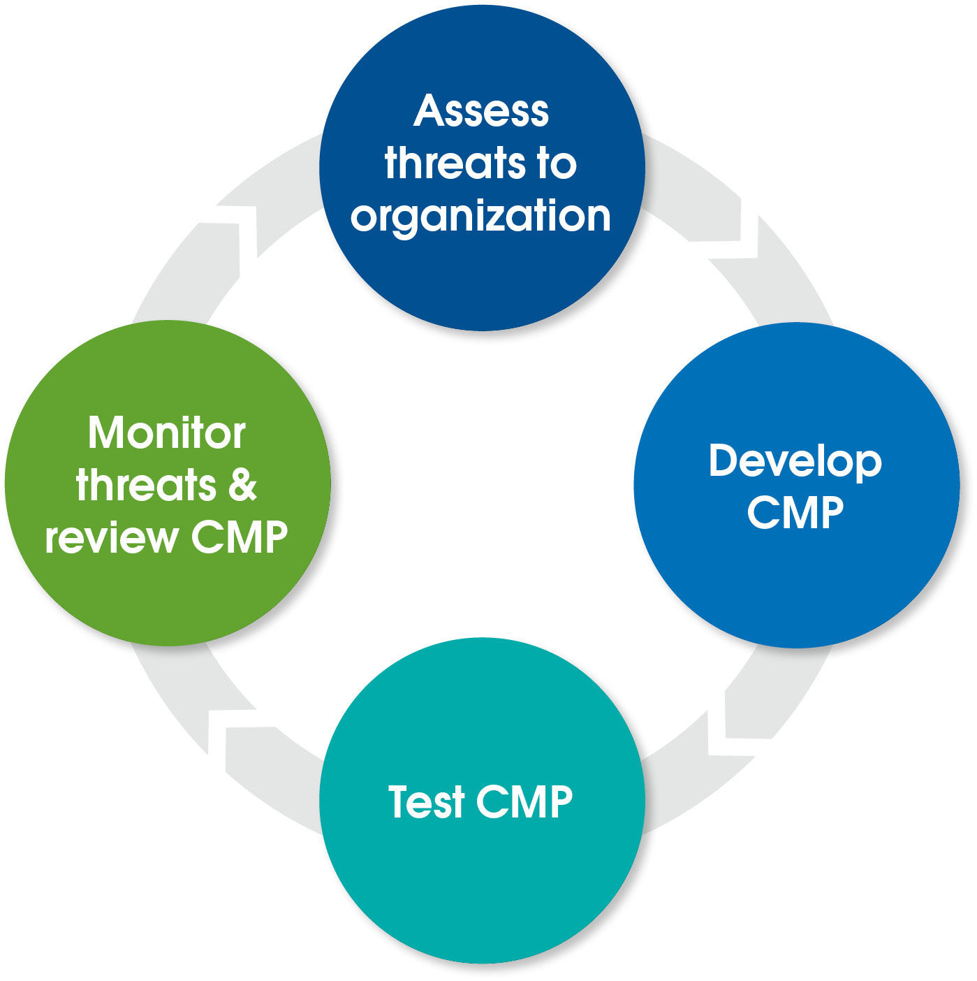 Steps in Developing and Maintaining a CMP